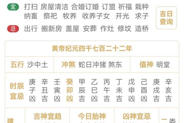 八字丁巳日