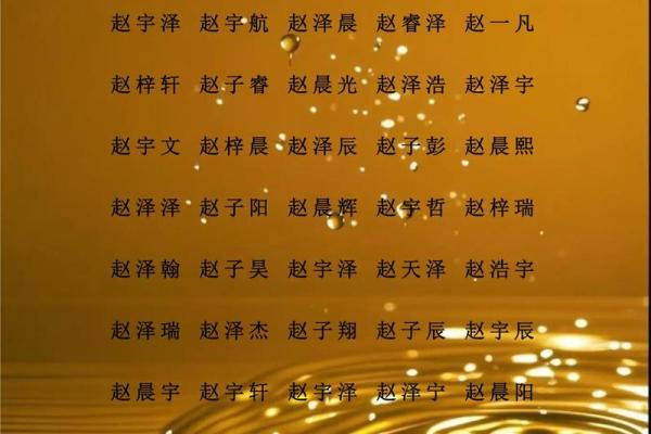 赵姓男孩名字大全-赵姓男孩起名字大全-赵姓名字大全姓名