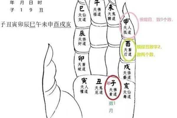 十二生肖吉凶和方位