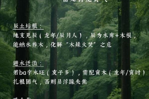 算命的说小孩扎根在水中
