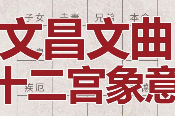紫薇斗数文曲