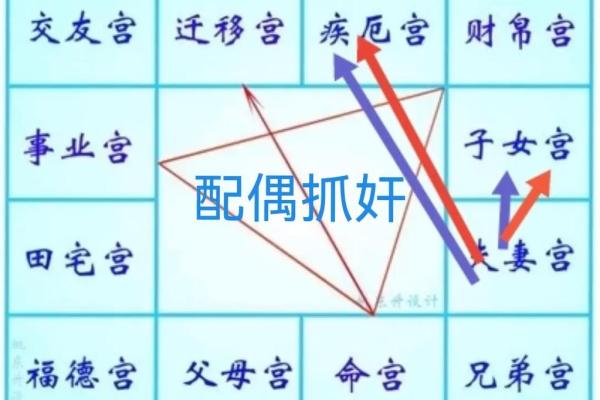 能嫁好老公的紫微命盘 必嫁贵夫的紫微斗数