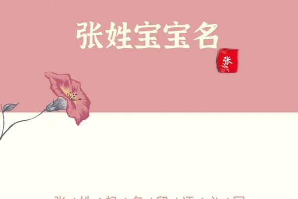 属狗的张姓男孩起名大全，张氏名字汇总姓名