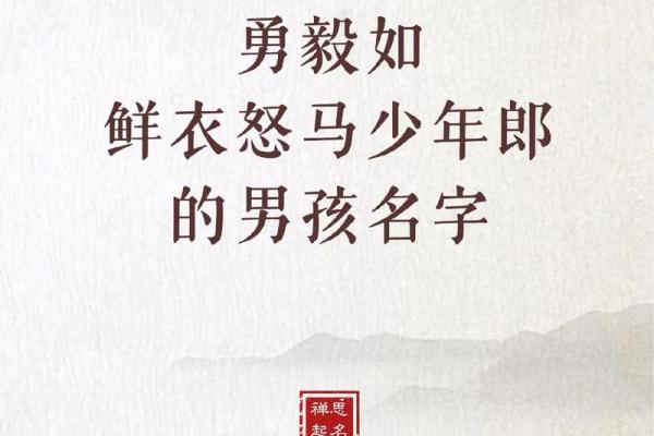 2019年3月17号卯时出生的男孩应该起什么样的名字姓名