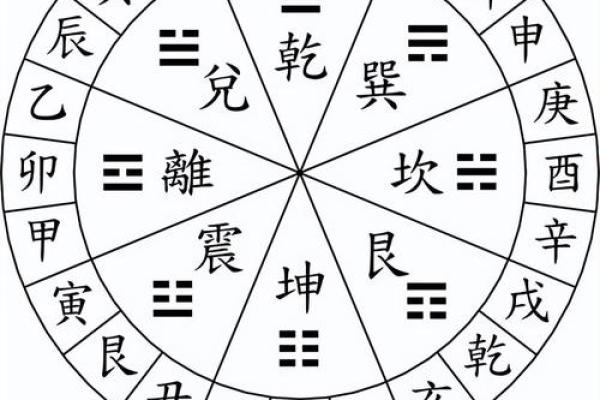 八字子午卯酉