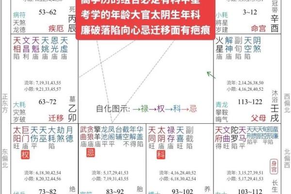 紫薇斗数网上命例