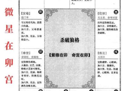 紫薇斗数pdf网盘