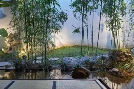 竹子在院子哪个方位好