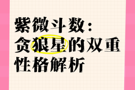 紫薇斗数解读，廉贞贪狼性格解读