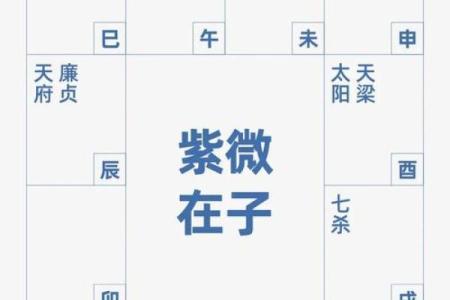 紫薇星化科入父母宫