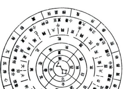 怎么看梅花易数排盘