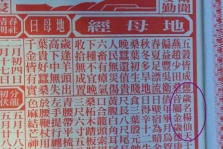 风水资讯；乙未羊年适合结婚吗