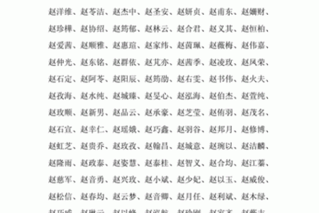 赵姓男孩名字大全-赵姓男孩起名字大全-赵姓名字大全姓名