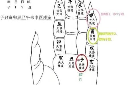 十二生肖吉凶和方位