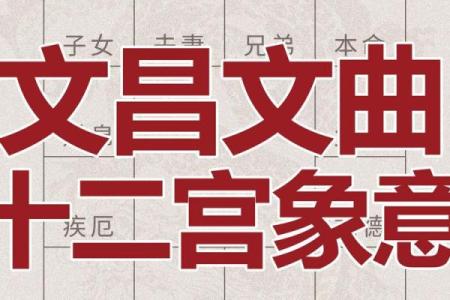 紫薇斗数文曲