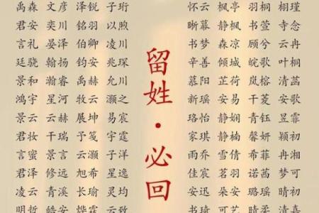 2019年6月22号卯时出生的男孩要怎么起名字姓名