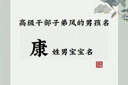 2019年5月31号子时出生的男孩应该起什么样的名字姓名