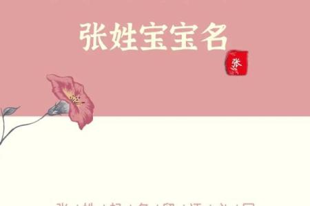 属狗的张姓男孩起名大全，张氏名字汇总姓名