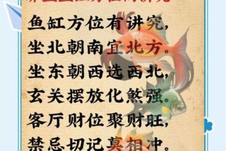 鱼缸的摆放位置与风水的关系