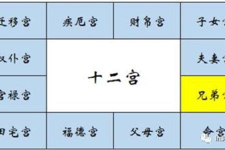 紫微斗数诸星落诸宫之：破军星兄弟宫详解