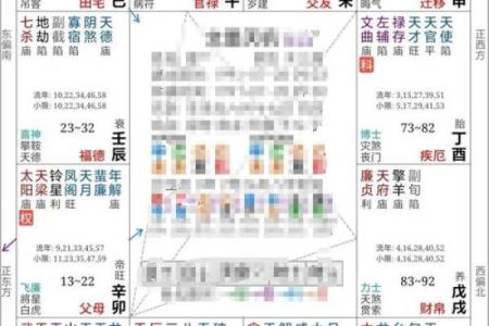 紫薇斗数怎么看配偶长相