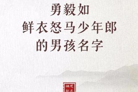 2019年3月17号卯时出生的男孩应该起什么样的名字姓名