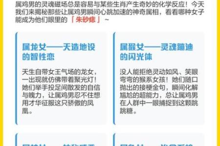 半夜出生的属鸡男孩如何起名字姓名