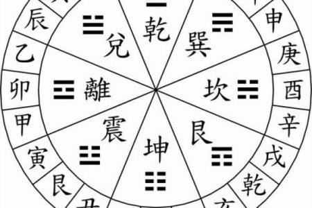 八字子午卯酉