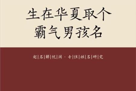 2019年3月23号亥时出生的男孩如何起名姓名