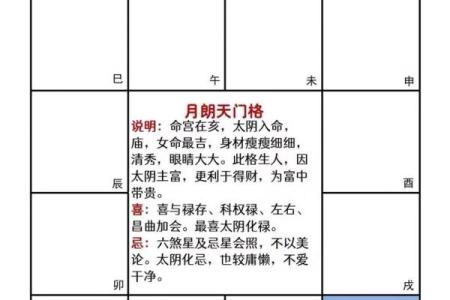 紫薇斗数网上命例