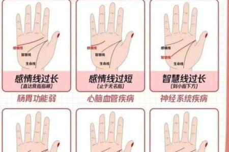 手相算命的基本原则