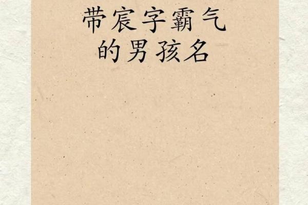 2019年3月22号巳时出生的男孩应该起什么样的名字姓名