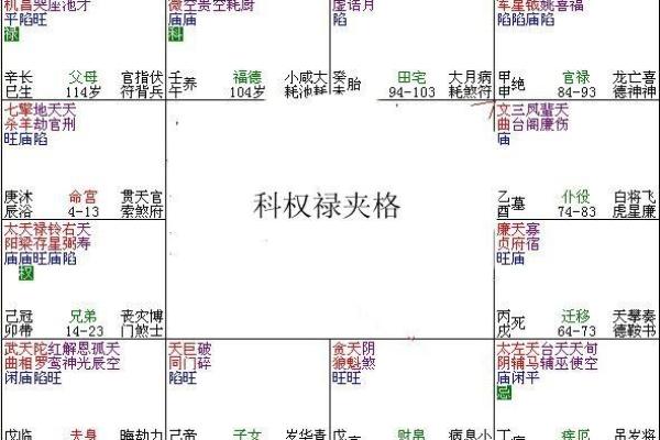 紫薇斗数富贵格