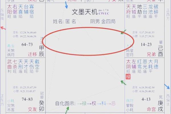 紫薇斗数身主天机