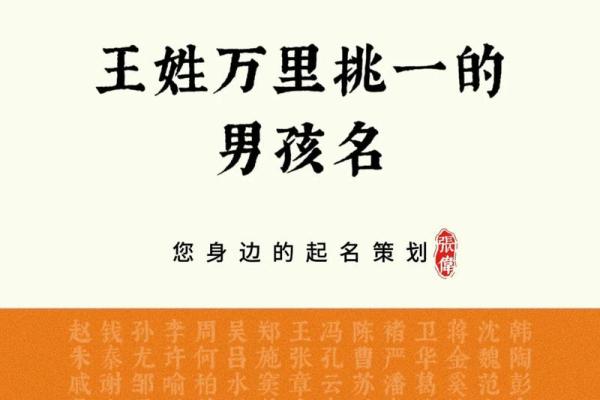 2019年5月20号丑时出生的男孩起名方法姓名