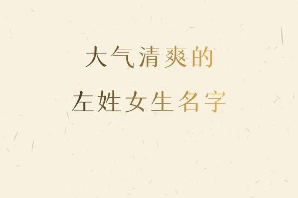左姓男孩名字大全-左姓男孩起名字大全-左姓名字大全姓名
