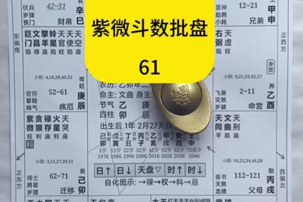 紫薇斗数事身什么意思