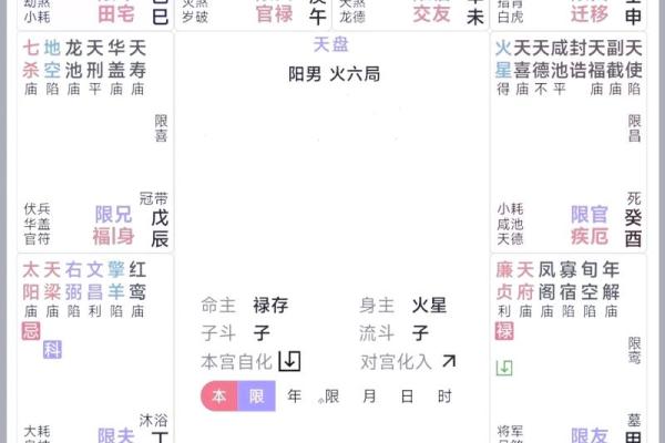 紫薇斗数命宫坐死地