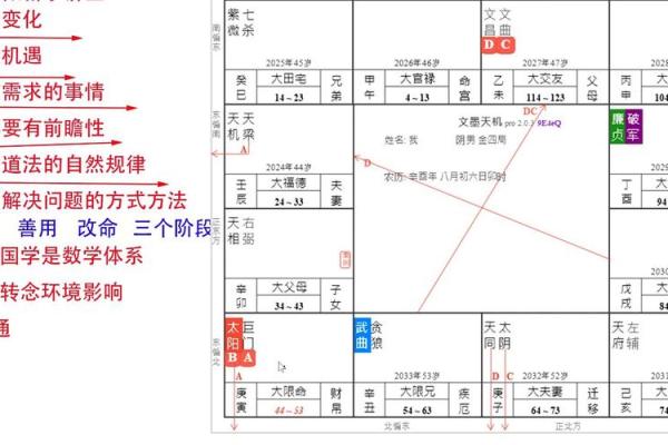 紫薇斗数排位