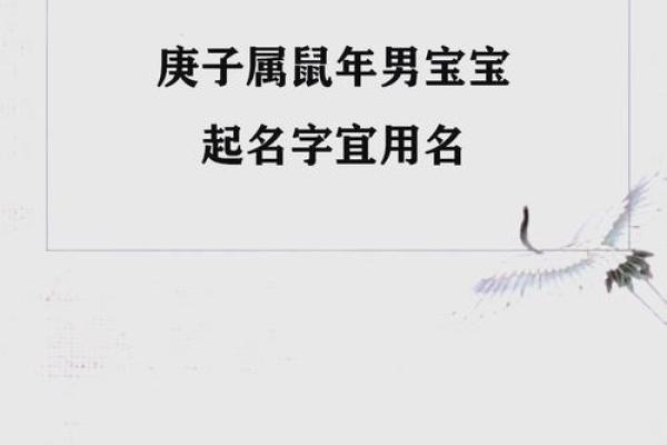 中午1点出生的属鼠男孩用什么字取名比较好姓名