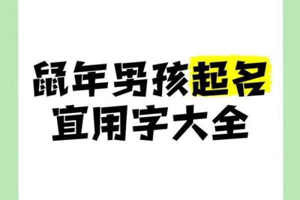 如何给下午3点出生的属鼠男孩起名字姓名