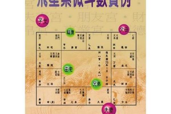 卦卜网紫薇斗数