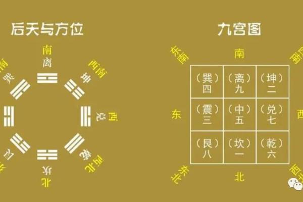 八字金重长痘,八字金旺的人