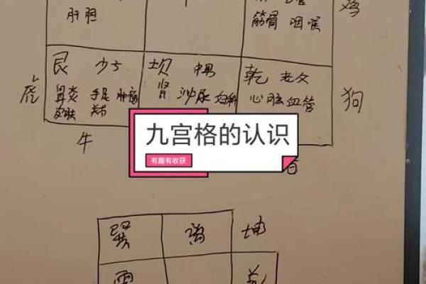 掌握基础知识，风水运用不犯难