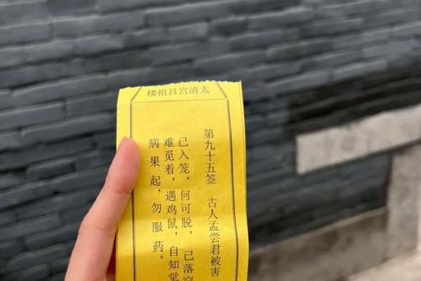 吕祖灵签抽签解签11