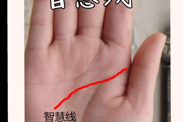 如何看掌纹线算命女性 智慧线长度适中进取心强