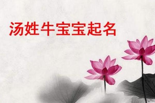 农历四月牛宝宝名字大全,温暖有朝气的男孩女孩名字姓名
