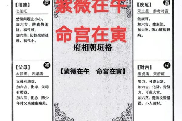 紫薇斗数初级