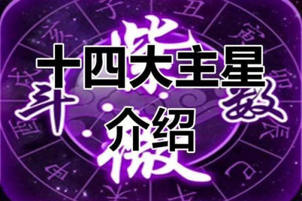 紫薇斗数元神