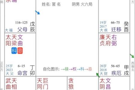 紫薇斗数感情分析